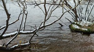 НА пробежке 6.11.24.