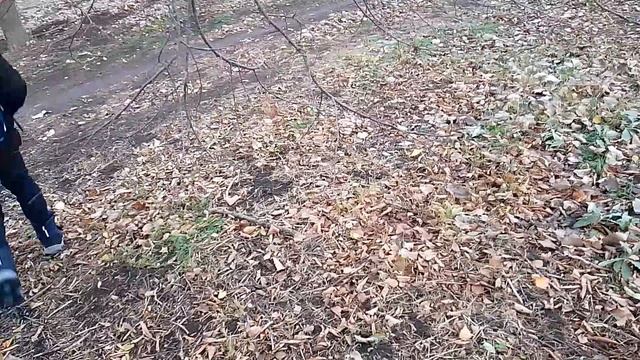 Гуляем с Артемом в лесу после школы смотреть онлайн