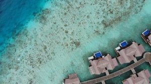 4701090-hd_1920_1080_30fps