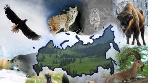 Путешествие по заповедникам ХМАО