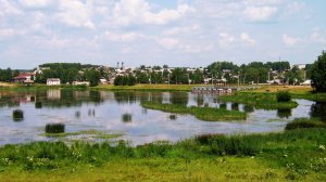 Нердва_Строгановы