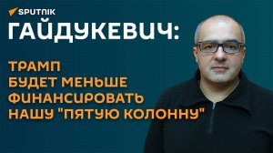 Гайдукевич: Трамп будет меньше финансировать  нашу "пятую колонну"