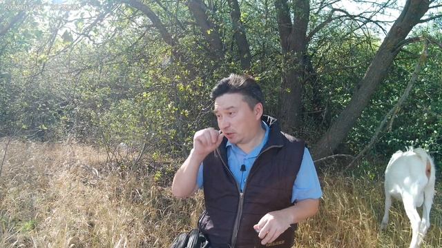 К одним будьте милостивы