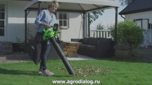 Садовый пылесос-воздуходувка Greenworks GD40BV