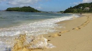 1967312-hd_1280_720_30fps