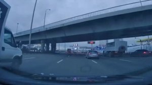 🚙На Ярославском шоссе заметили смельчака, который сохранился перед тем, как переходить дорогу🚙