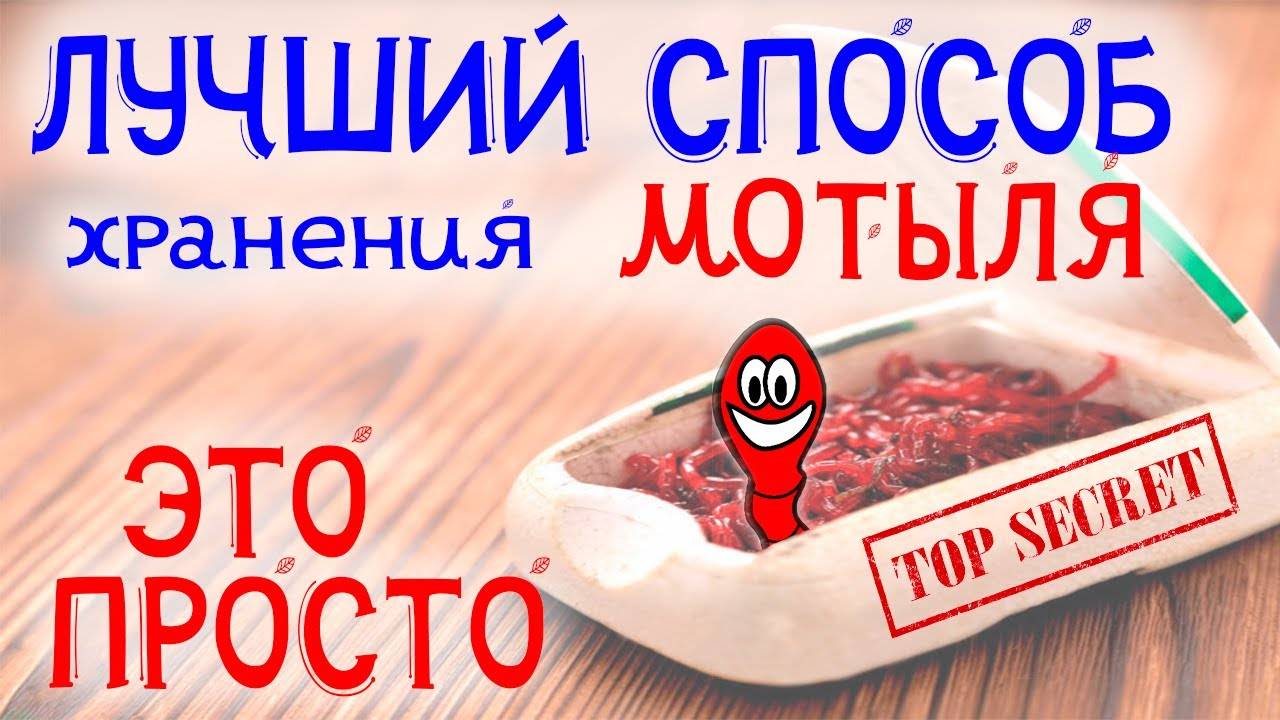 Лучший способ хранения мотыля. Как долго хранить мотыля.