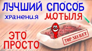 Лучший способ хранения мотыля. Как долго хранить мотыля.