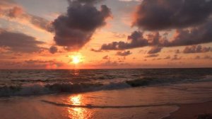 855633-hd_1920_1080_25fps