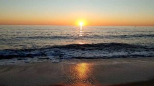 856430-uhd_3840_2160_30fps