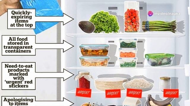 4 способа уменьшить количество пищевых отходов: советы ученых