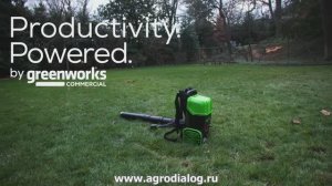 Садовая воздуходувка ранцевая Greenworks GD82BP2