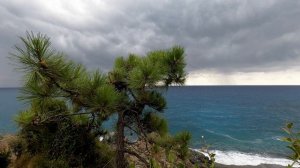 5669675-uhd_3840_2160_30fps