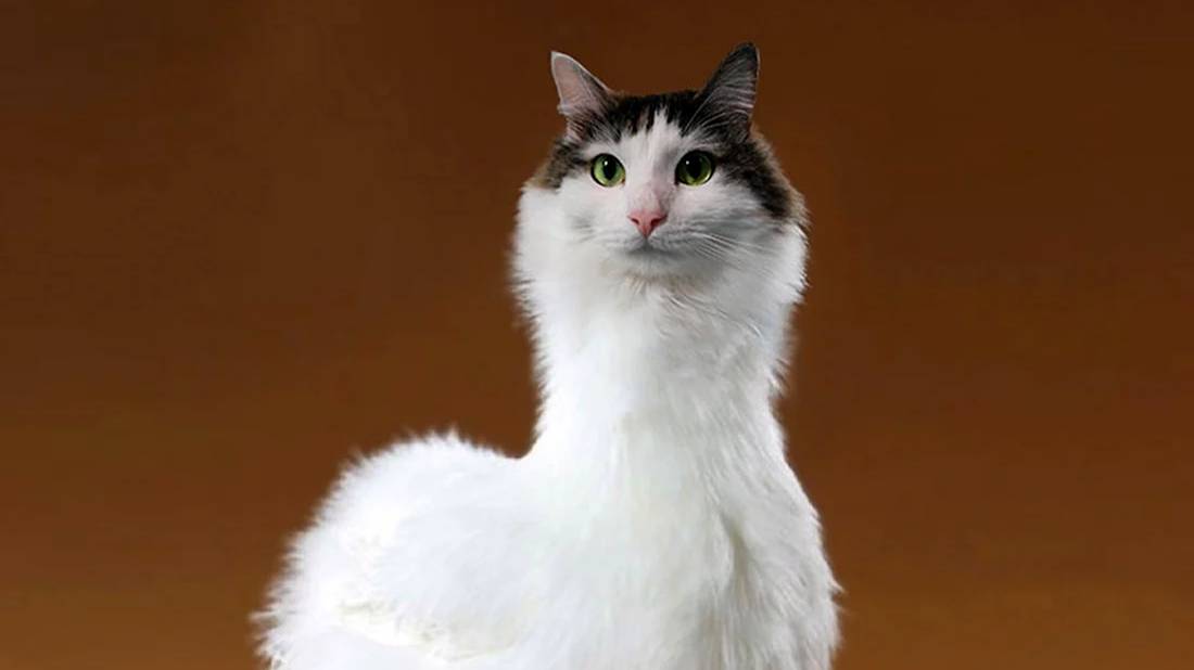 КОПЛЮ НА KV-1-S смотреть онлайн