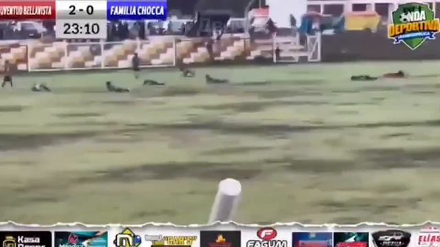 Молния прямым попаданием убила футболиста в Перу Перуанский защитник Хосе Уго Де ла Круз Меза умер смотреть онлайн