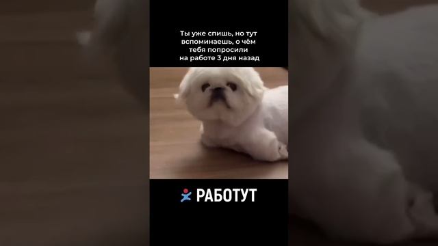 Старые рабочие задачи