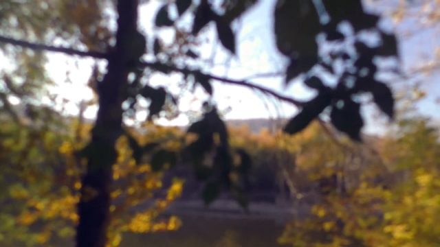 Anton Churakov: яблоневый овраг осенью :) смотреть онлайн