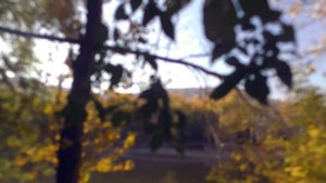 Anton Churakov: яблоневый овраг осенью :)