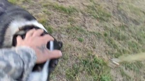 САО Джана 11 июня 2024 г.