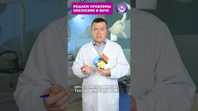 Воспаления во рту влияют на мозг