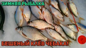 Зимняя рыбалка в палатке на Новоомском.