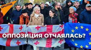 Оппозиция устала, но не сдается: в Тбилиси митингуют против «Грузинской мечты»