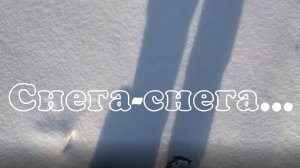 Снега-снега... - PARROSLAB GROUP