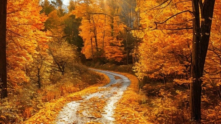 Осеннее настроение смотреть онлайн