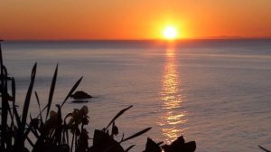 4227548-hd_1920_1080_25fps