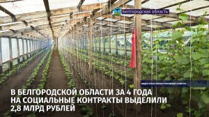 В Белгородской области за 4 года на соцконтракты выделили 2,8 млрд рублей