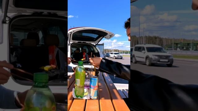 Приключения на гибриде готовим в пути!