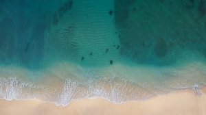 4782594-uhd_3840_2160_30fps