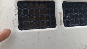 Ремонт!!! круиз. заправил Реф. забился заборник. #дальнобой #камаз