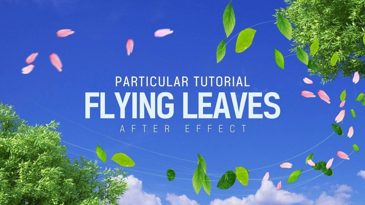 After Effects Flying Оставляет специальный учебник l 잎사귀 날리기 (включая файлы проекта)