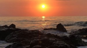 4816732-hd_1920_1080_30fps