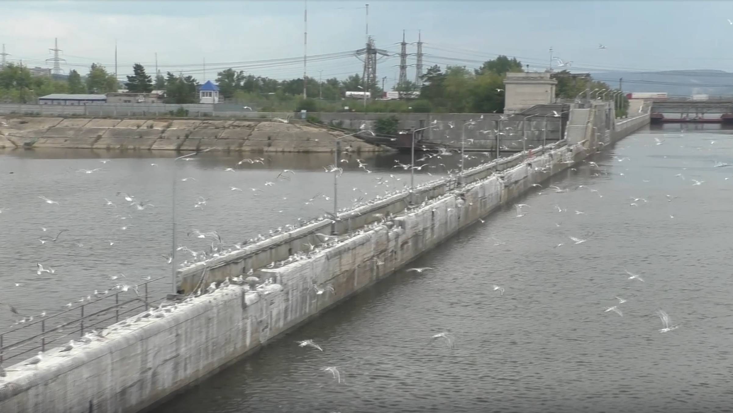 26. Плывем до Самары. Жигулевские горы. смотреть онлайн