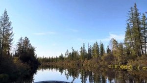 По пути к своей мечте