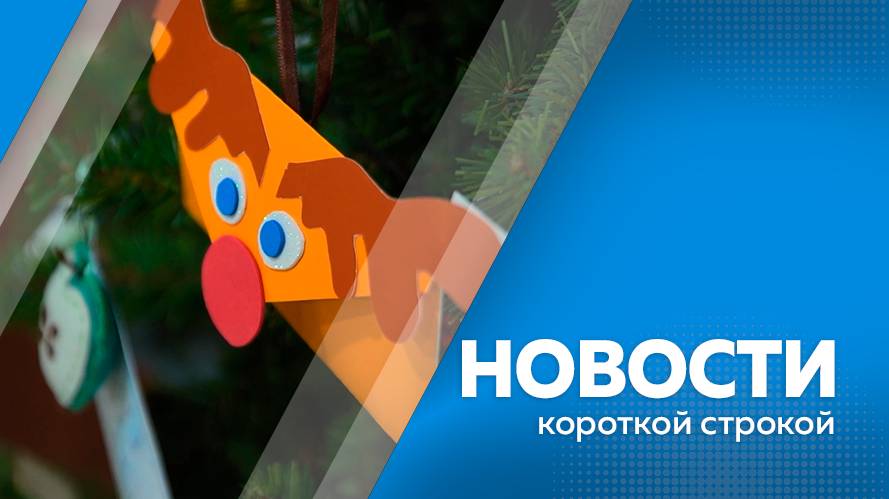 Новости короткие 06.11.24г