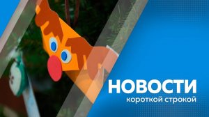 Новости короткие 06.11.24г