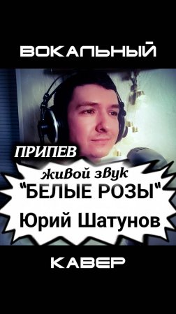 Белые розы. Кавер от КИНАМ. Часть 3