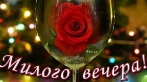 Милого вечера!