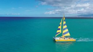 4602958-uhd_3840_2160_30fps