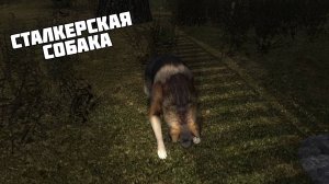 STALKER НОВЫЙ МОД [ Хроники Кайдана 4 ]