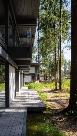 Покрытие термодоски из ясеня маслом Tikkurila
