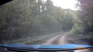 Залипнуть на 15 минуток? Поехали до каменной чаши :)