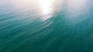 4193127-uhd_2562_1440_24fps (1)