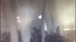 Браконьеры тащат незаконно добытого кабана к автомобилю. Запись с тепловизора.