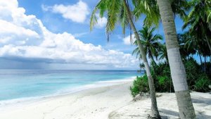 5096582-hd_1920_1080_24fps