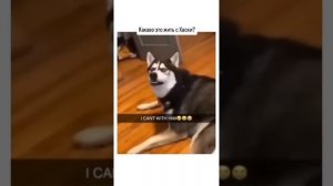 подборка приколов 2024