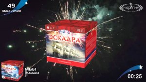 Батарея салютов 49 залпов Эскадра МБ61